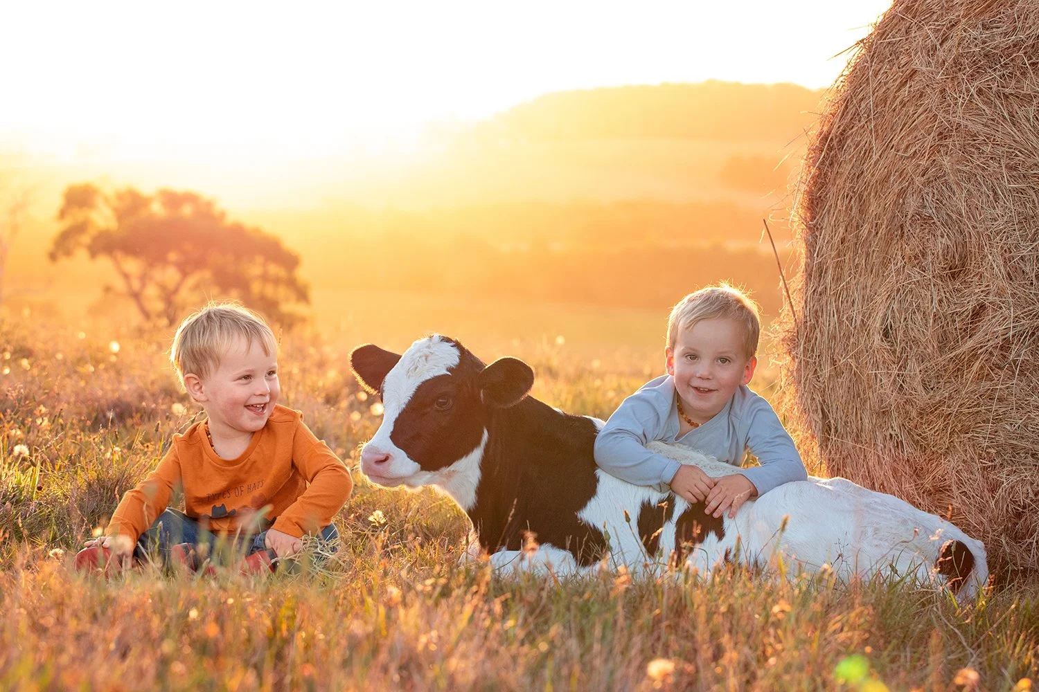 Two young children, a cow, and a hay bale in a field at sunset.