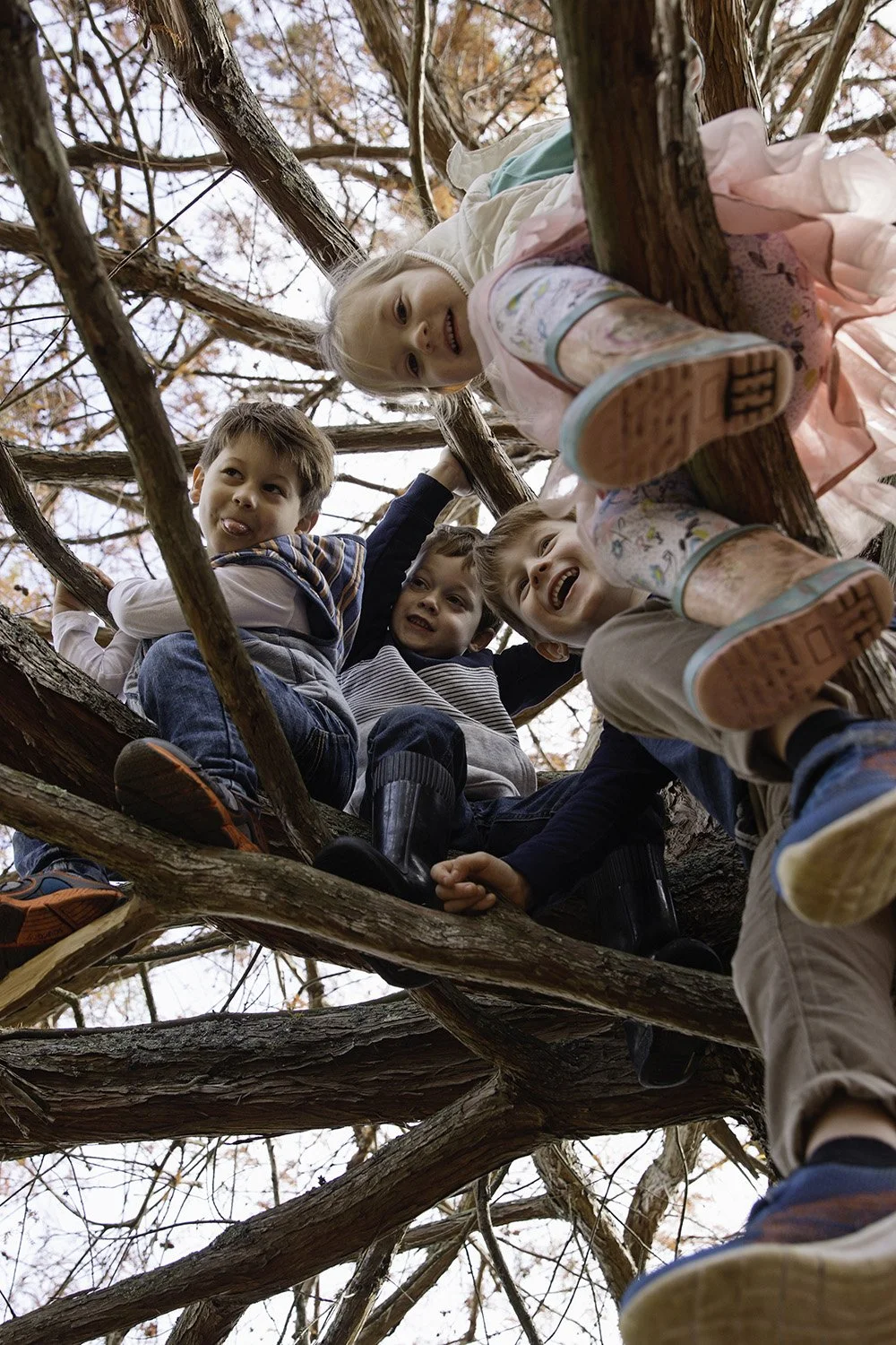 Children playing and climbing on a tree, smiling and having fun outdoors with autumn leaves in the background.