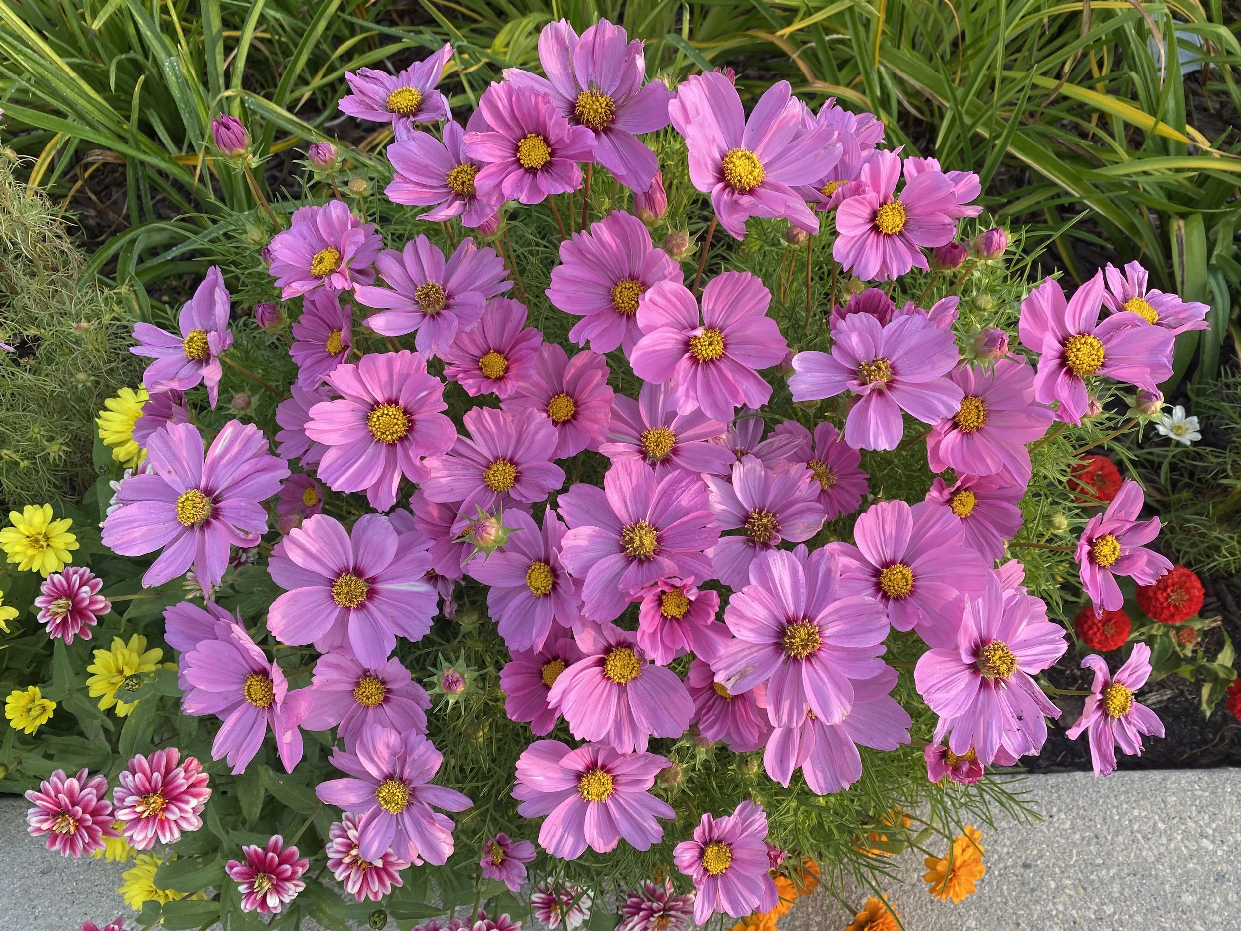 Gardening Services