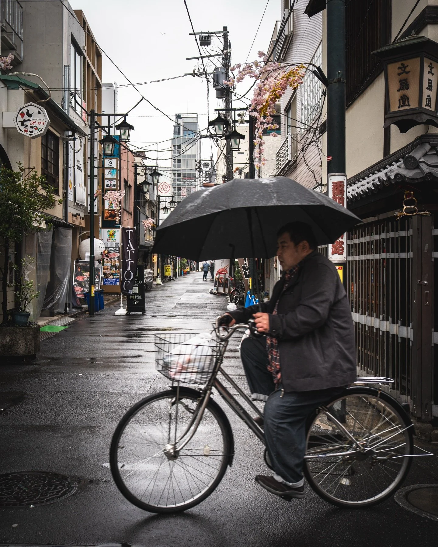 We spent 17 amazing days in Japan. Honestly I don't think I've ever planned as much for a trip as I did for this one. I actually started worrying that I was too hyped and that my expectations were too high and that could only lead to disappointment. 