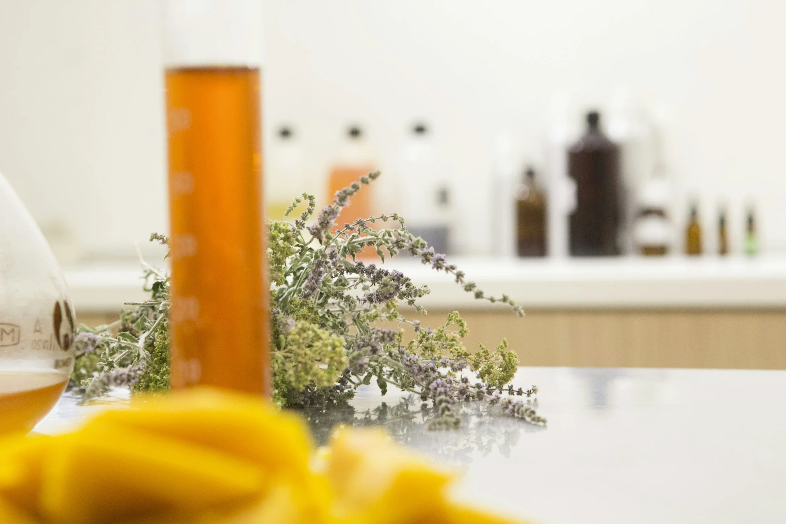 Close-up of a table with blurred yellow flowers in the foreground, a tall orange bottle, and lavender sprigs, with various bottles and containers on a shelf in the background.