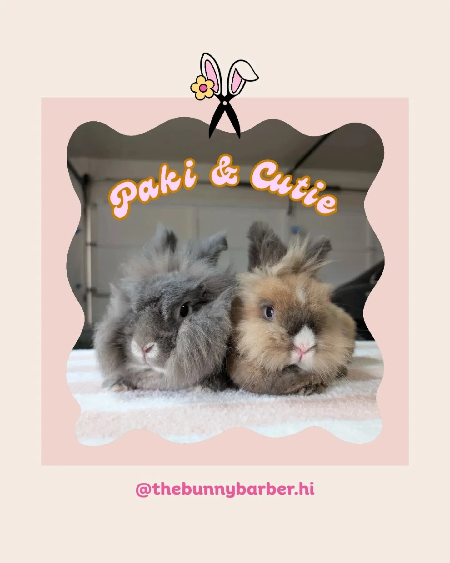 Two peas in a pod 🫛🐰🫶🏻🐰 Paki &amp; Cutie's first groom visit. Cutie got a mani / pedi while Paki came for his first haircut. Check out the next post for his ✨ before and after ✨
.
#thebunnybarberhi #hawaiibusiness #rabbitgrooming #guineapiggroom