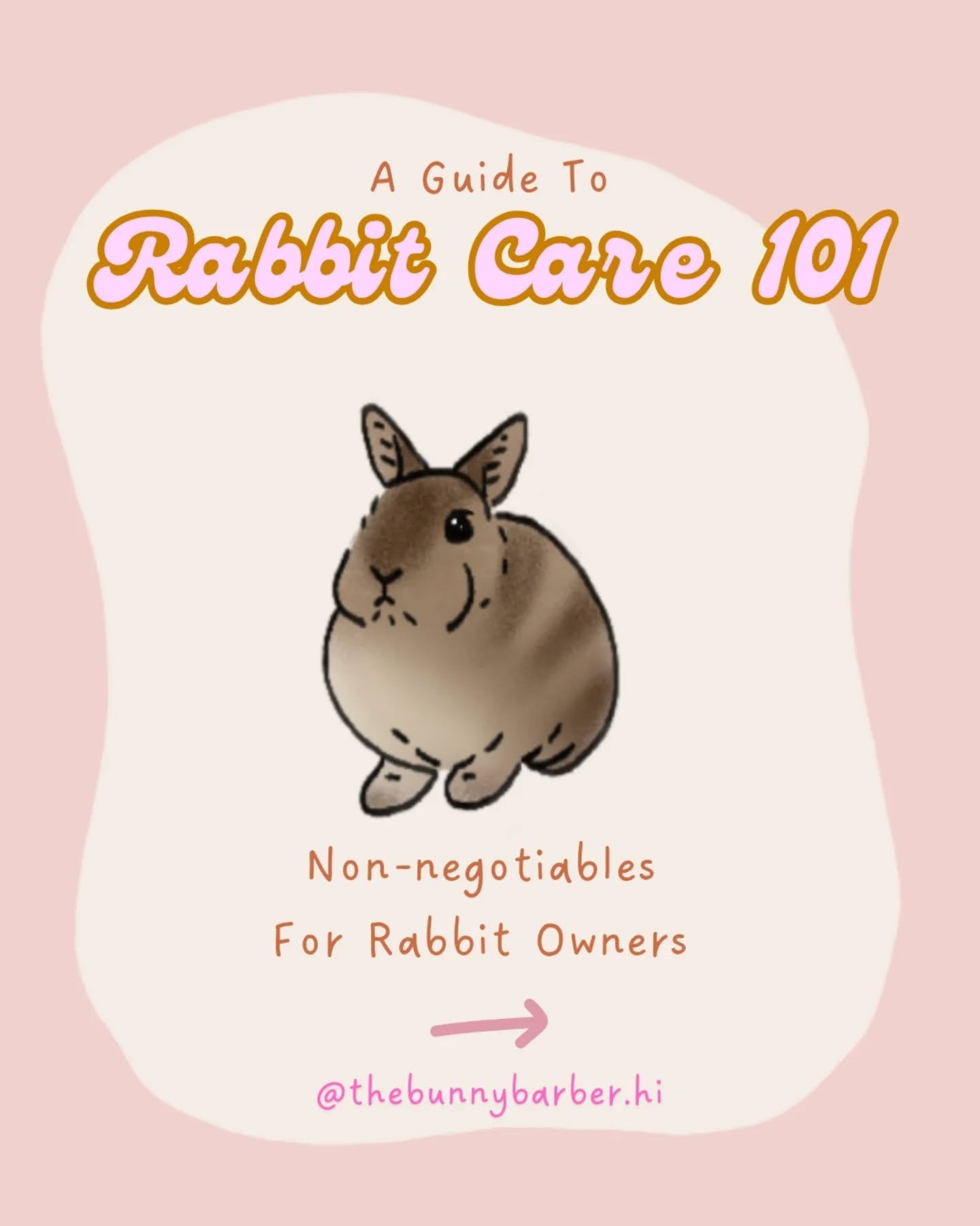 Your rabbit needs you to COMMIT to these 6 things!... This is just to name a few:
.
1) Annual exotic vet visits + in-between maintenance like teeth trimming. Rabbit body language can be very tricky for some owners. If you don't know what signs to loo