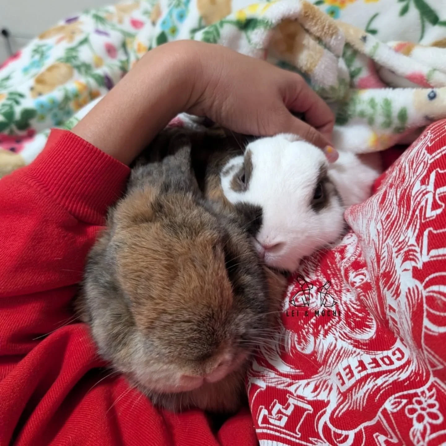 Cuddle bugs 🥰
