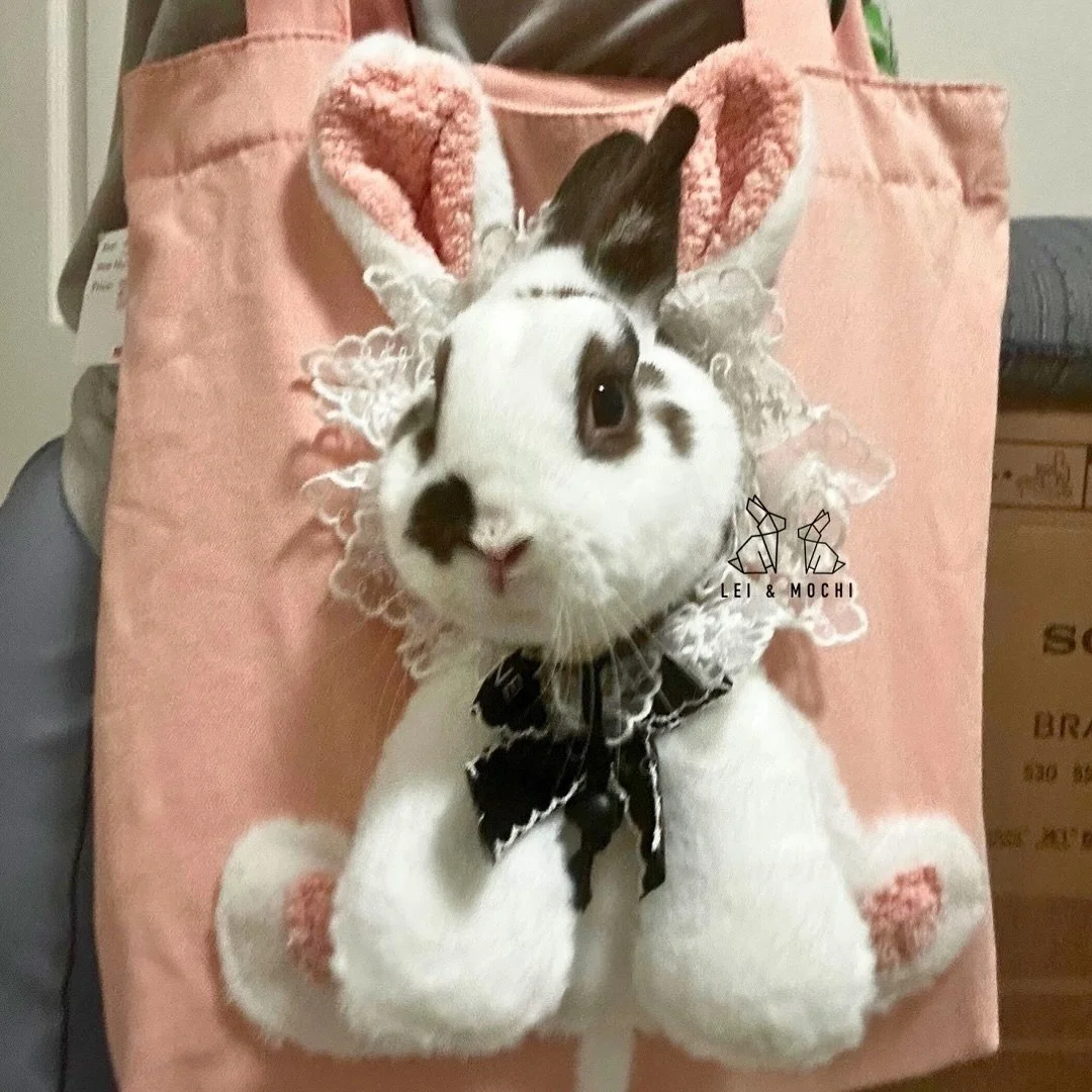 Found this bag at a local craft fair 😂