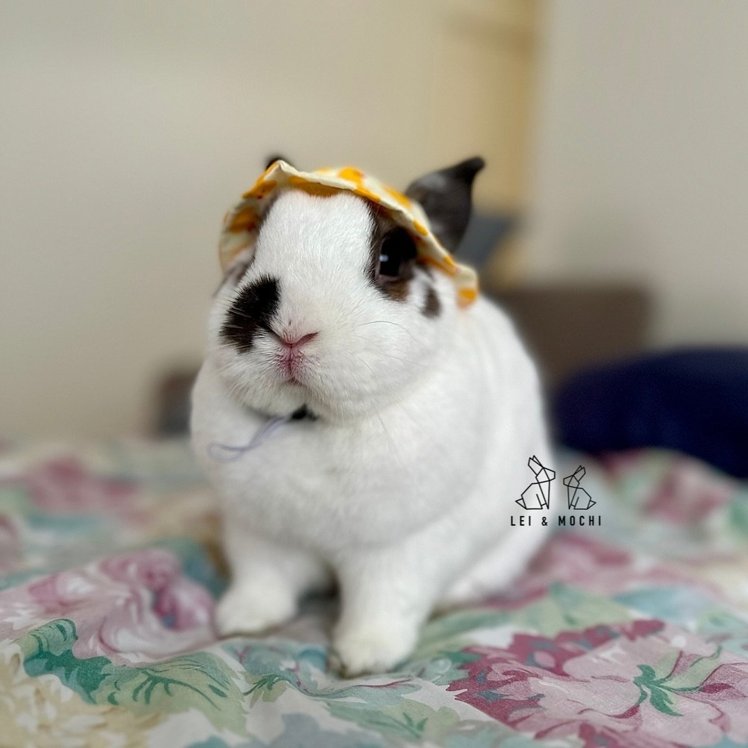 Do you like my ducky hat? &hellip;Because I don&rsquo;t 🦆🙄🤣