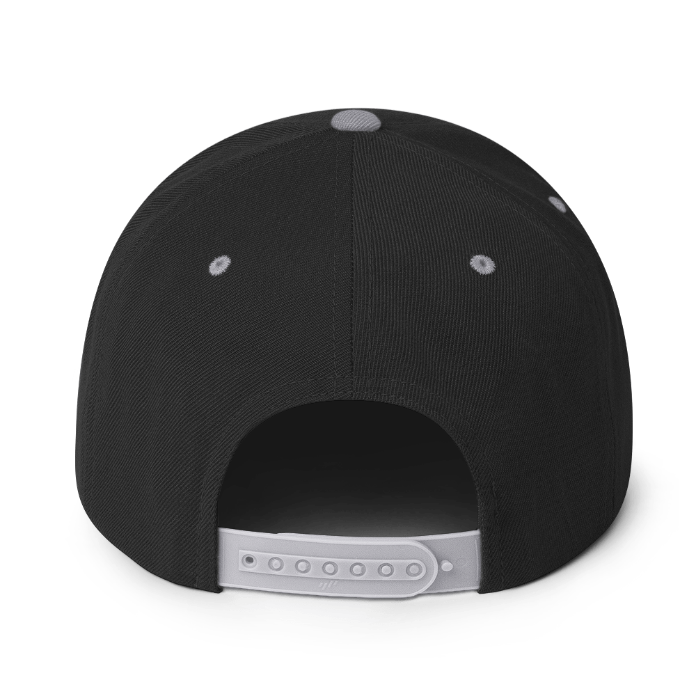 classic-snapback-black-silver-back-69b2edc3cd9a4.png