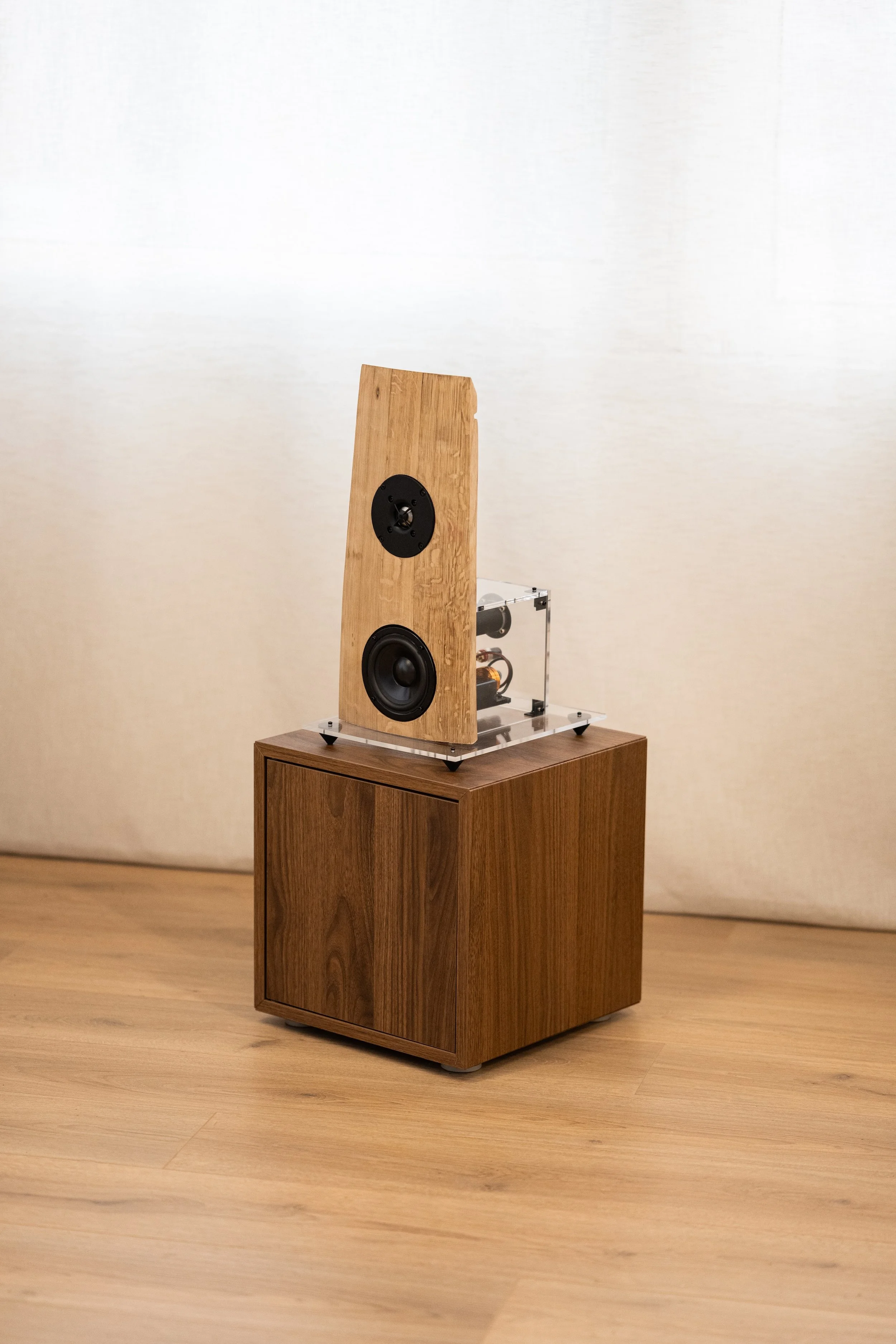 Immagine del diffusore Hi-Fi P2
