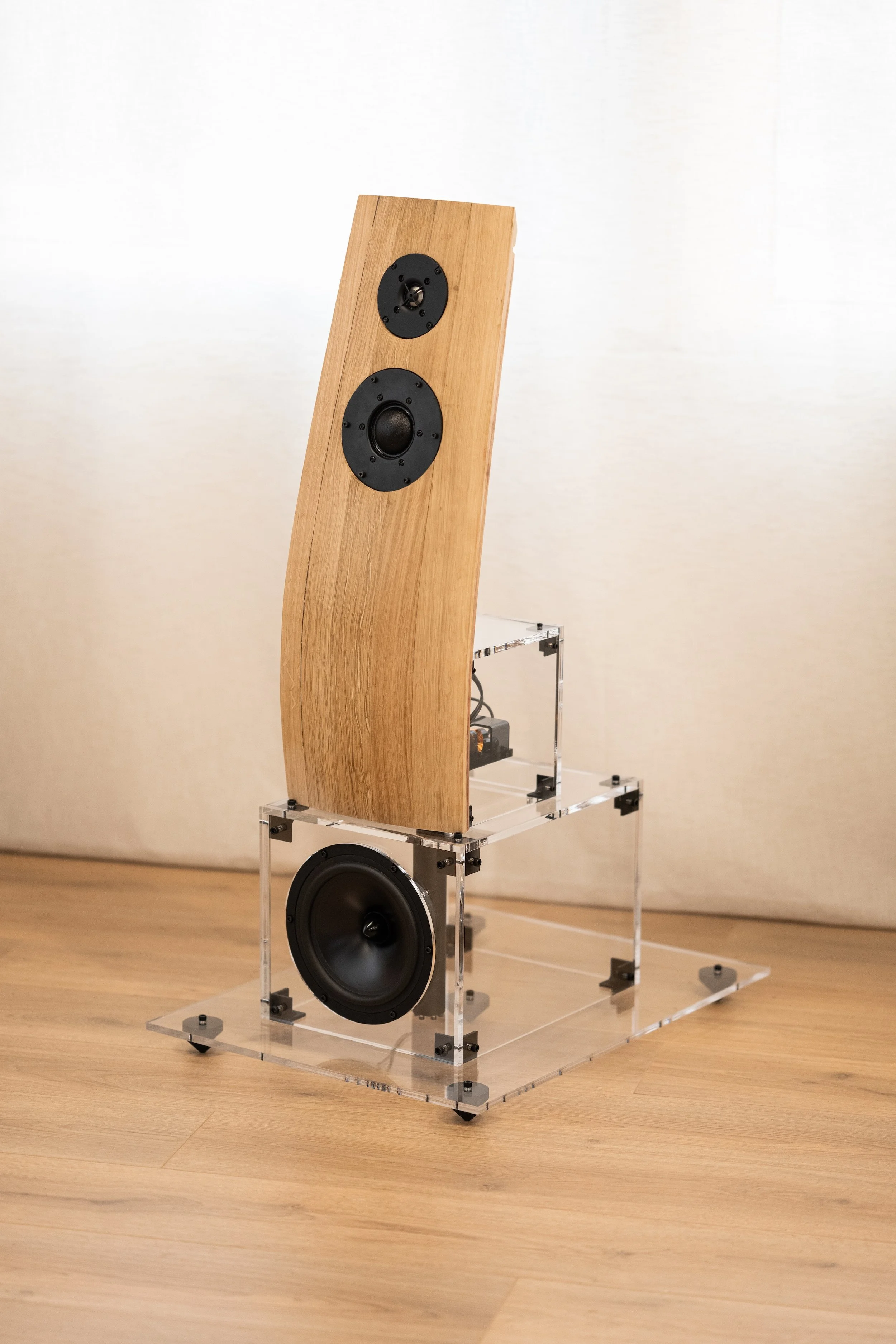 Immagine del diffusore Hi-Fi P1+