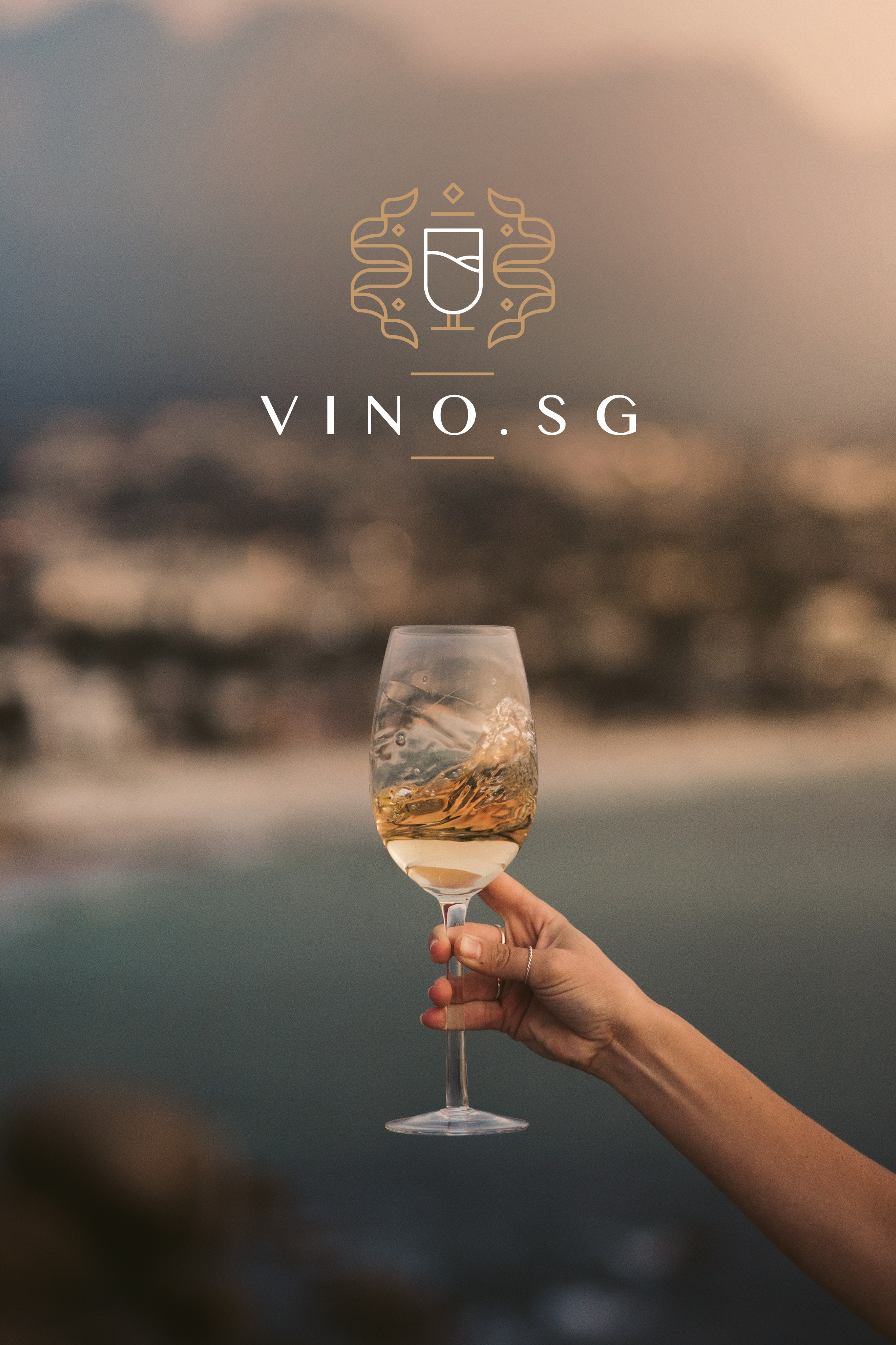 Vino.sg Branding