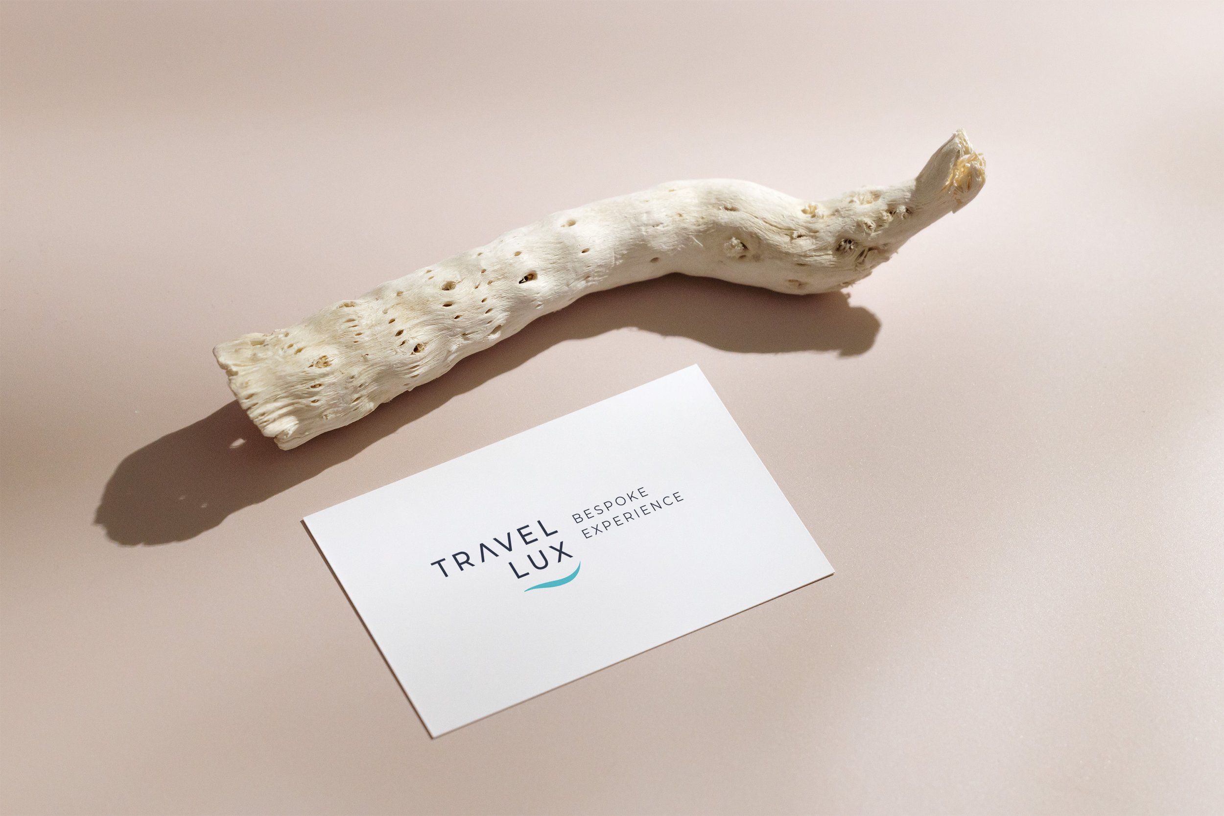 Business_Card_with_Dried_Plant.JPG