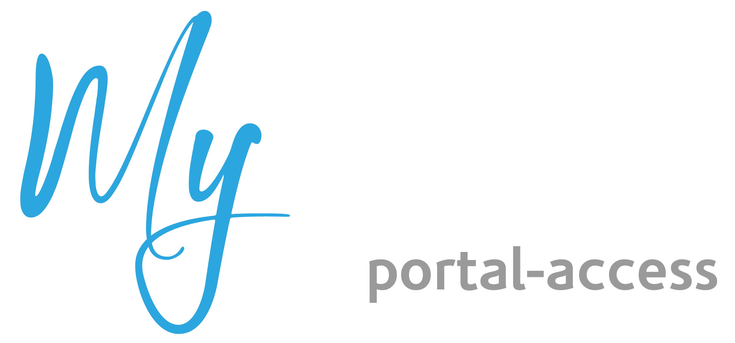 Logo with the words 'fly' in blue cursive and 'ore' in bold white letters, with a black and white circular design replacing the 'o', and the phrase 'portal access' in gray below.