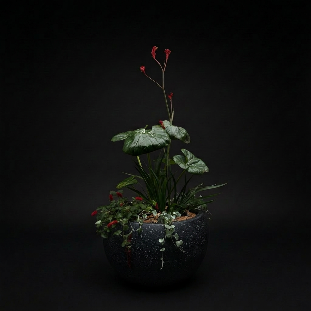 The Strawberry Patch