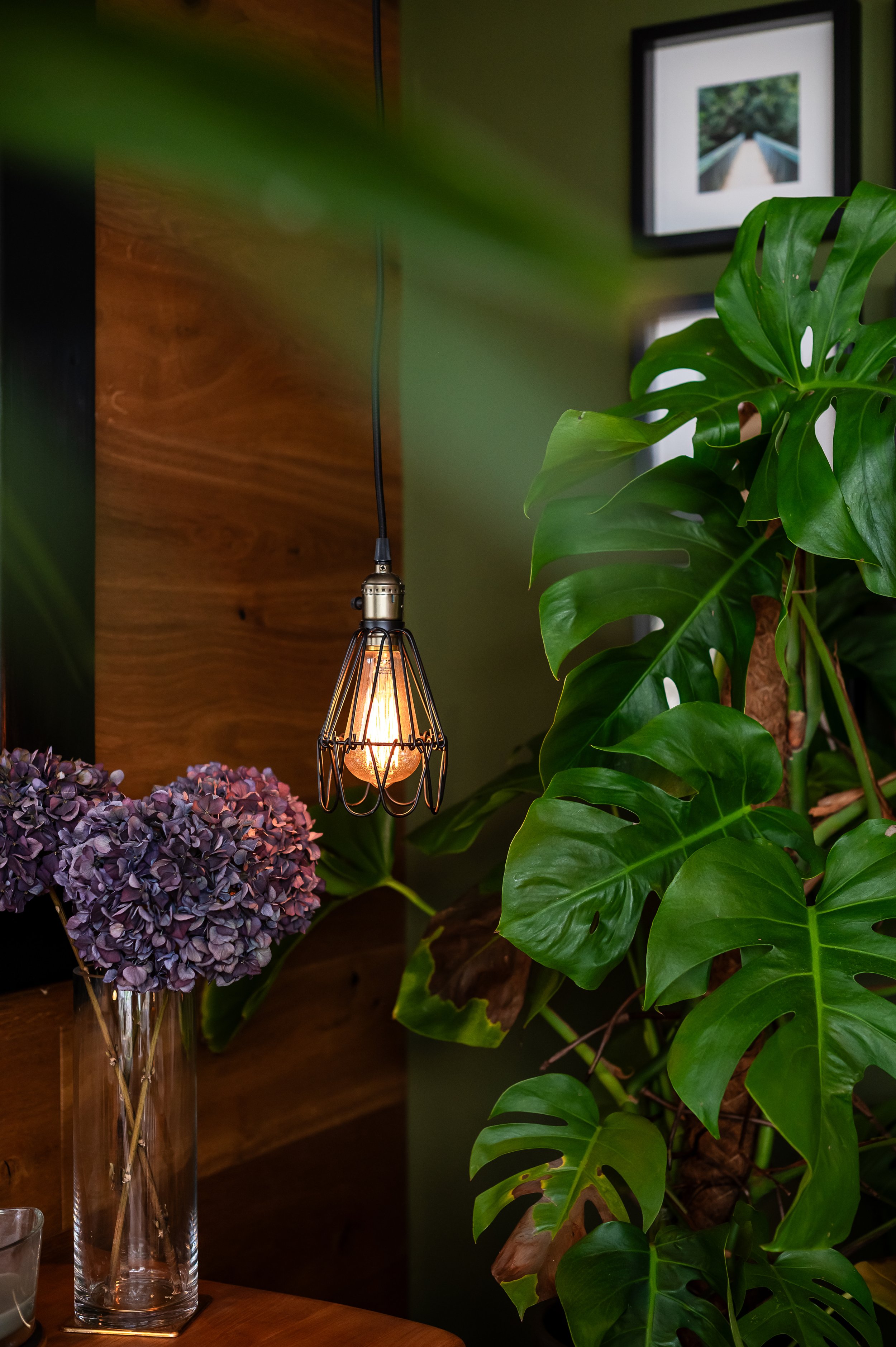 Moody interior styling detail with walnut wall panelling, pendant lighting and lush greenery in a contemporary Wilmslow home designed by Studio Dimora.