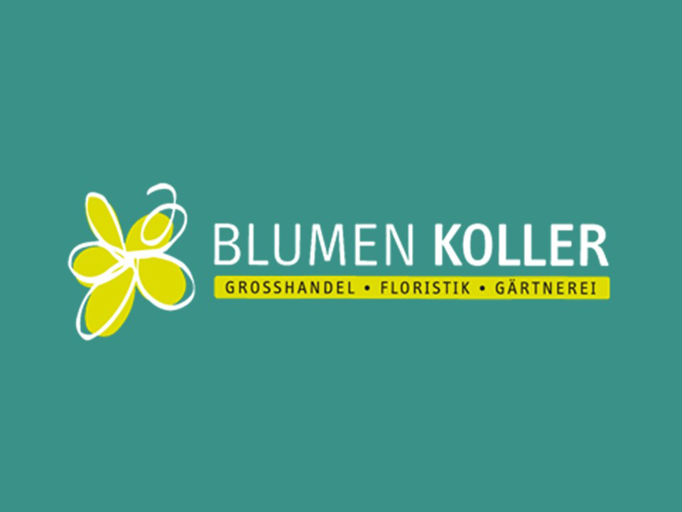 Logo von Blumen Koller mit gelbem Schmetterling und text 'Blumen Koller', darunter gelber Balken mit den Worten 'Großhandel, Floristik, Gärtnerei' auf türkisem Hintergrund.
