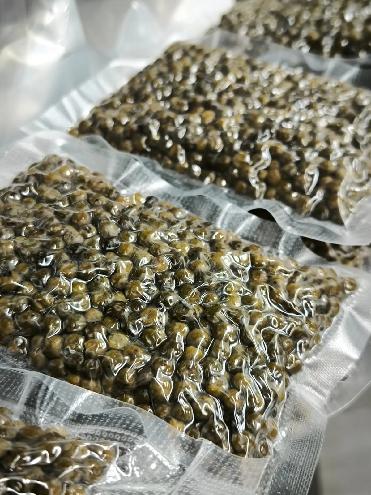 WhatsApp Image 2026-04-03 at 19.27.47.jpeg