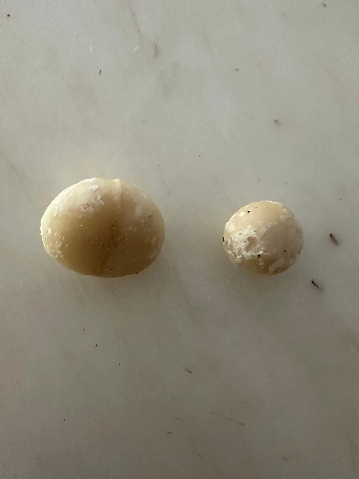 WhatsApp Image 2026-03-14 at 18.30.30.jpeg