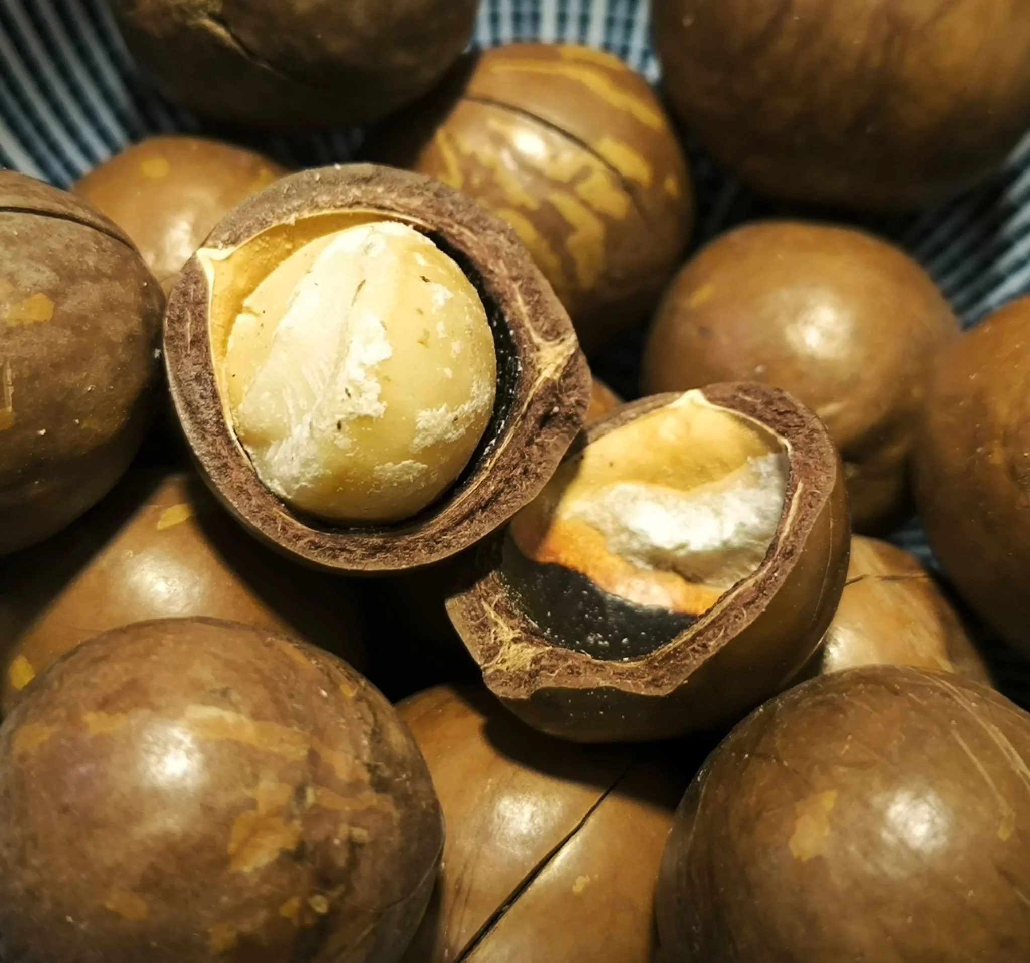 Premium Quality Macadamias 500g (NEW STOCKS ARRIVE END MARCH)
