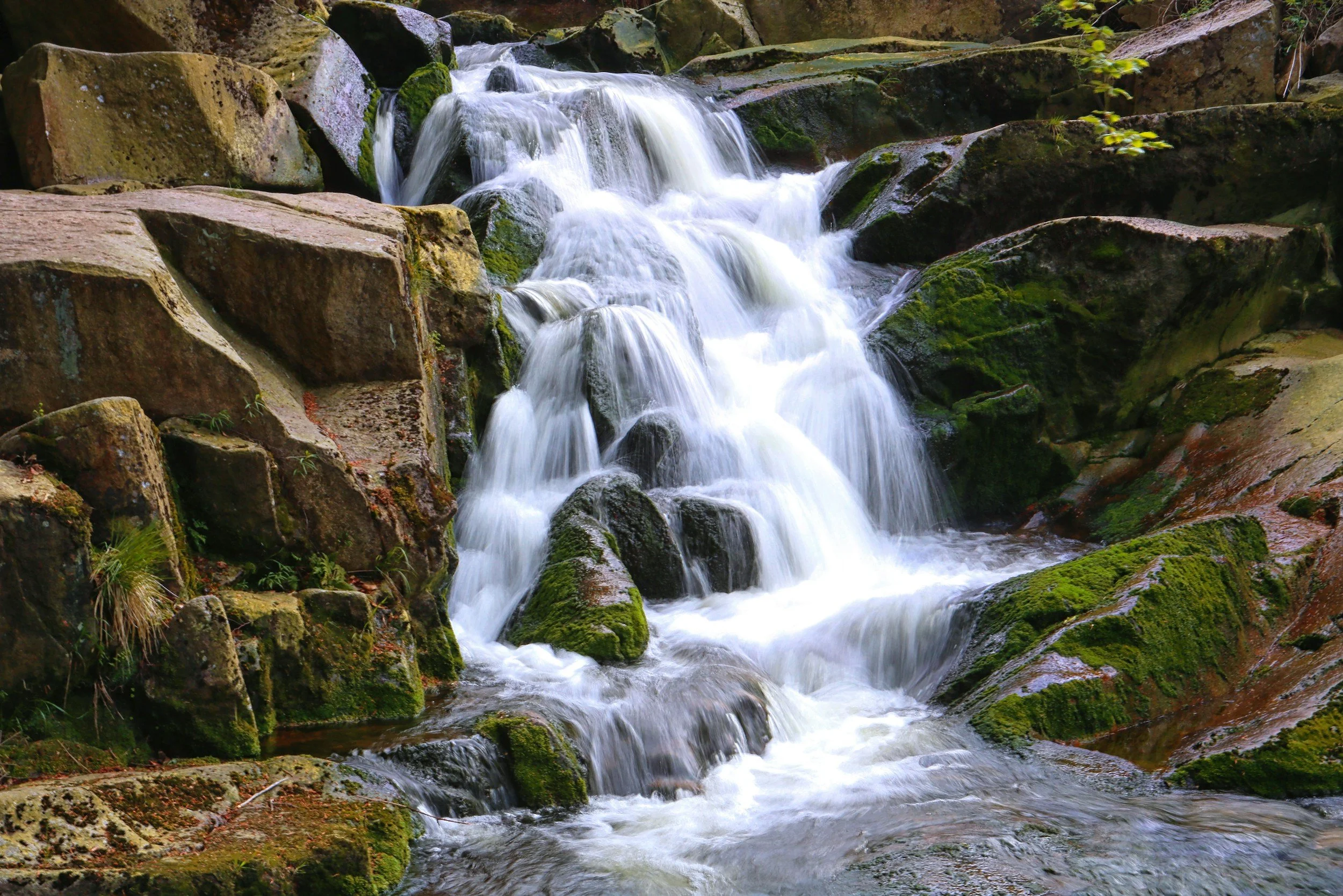 A small waterfall cascading over moss-covered rocks in a forest.