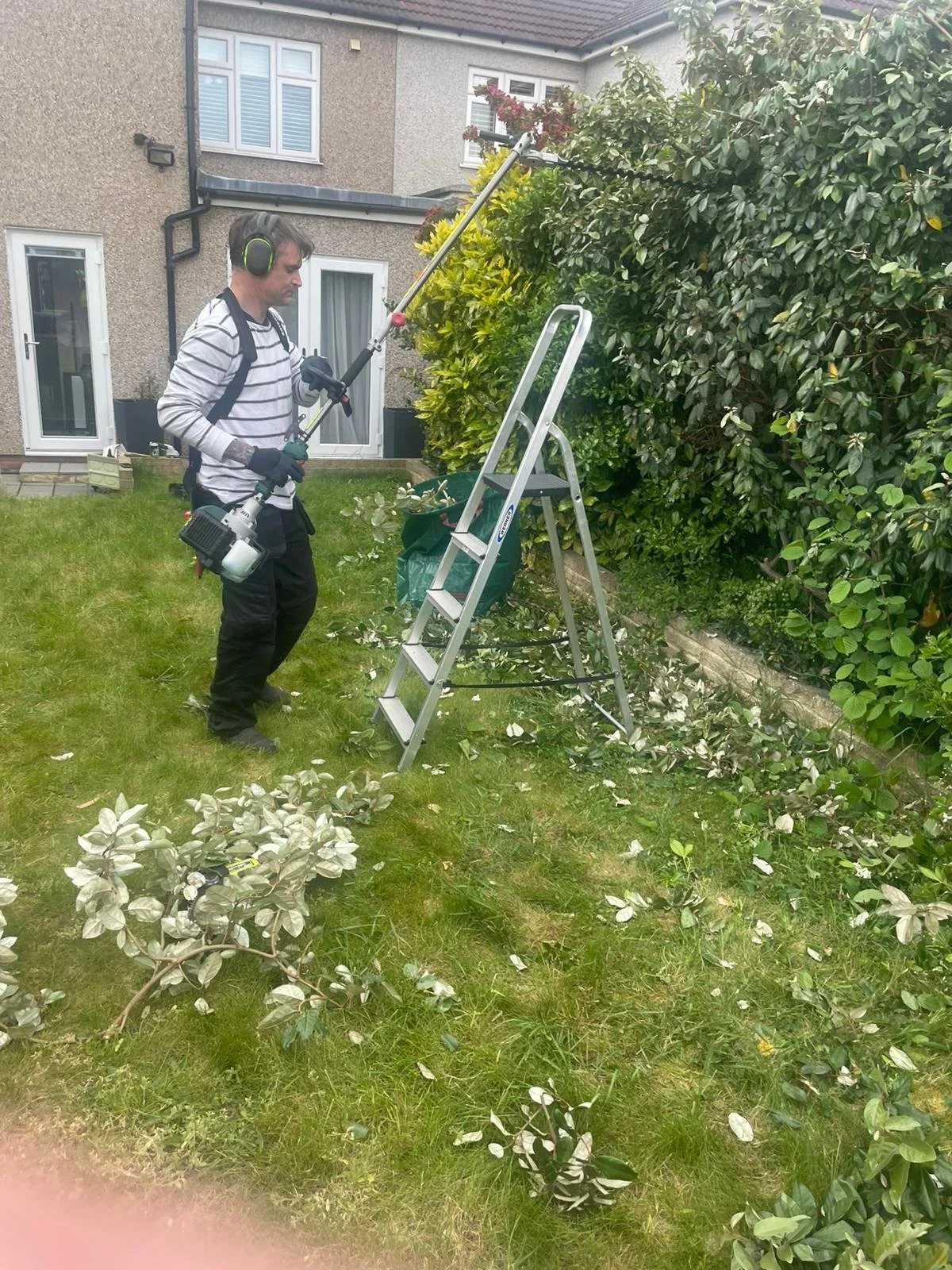 A man wearing a striped shirt, black pants, and gloves is trimming a large shrub with a leaf blower in a backyard. There is a folding ladder and a green bag for yard debris nearby. The background includes a house with windows and a door, and there are fallen branches and leaves on the grass.