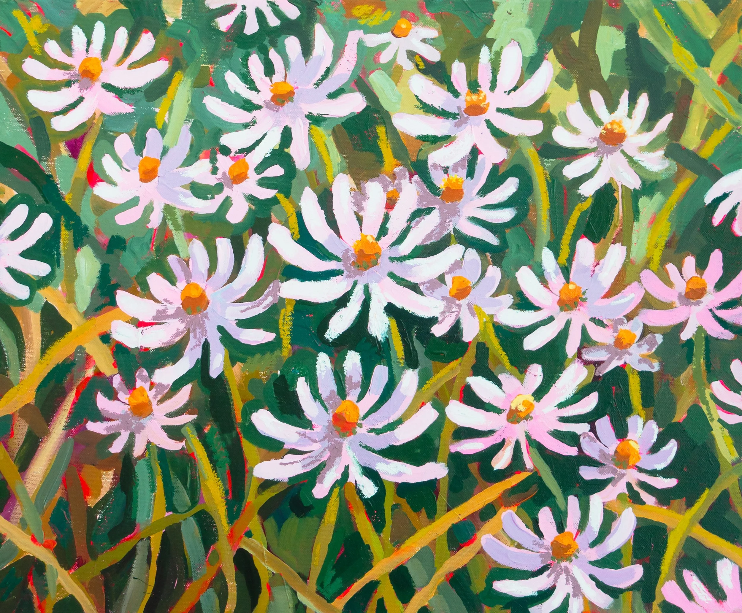 Chamomile Flower /
Acrylic and Oil Pastels on canvas / 
50 x 60 cm / 
2026
