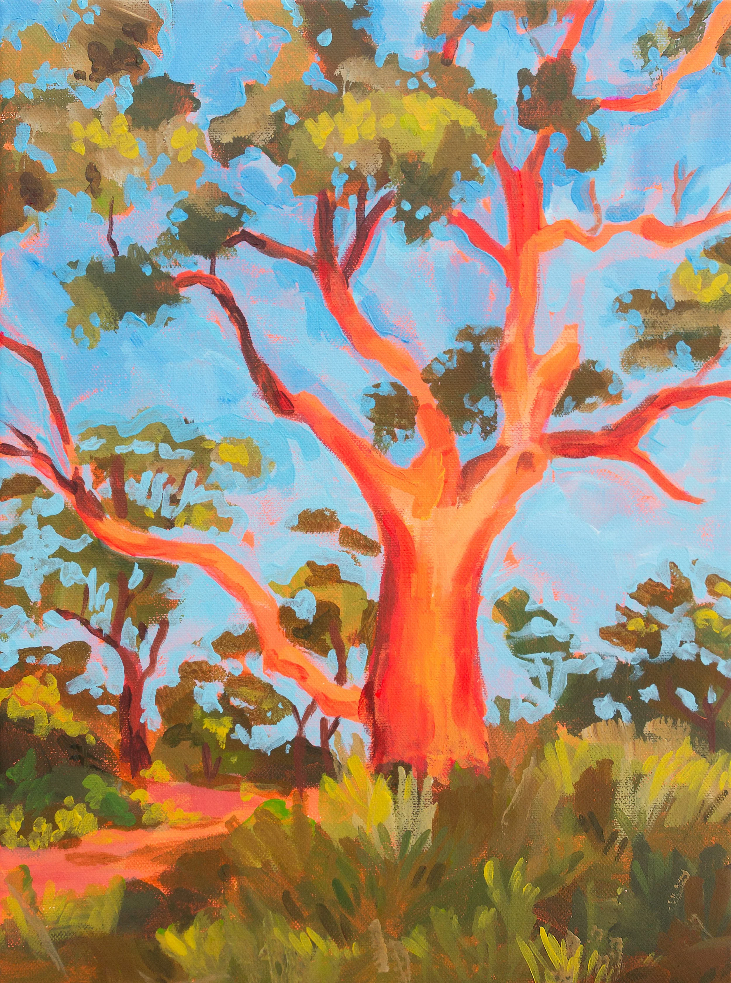 orange tree.jpg