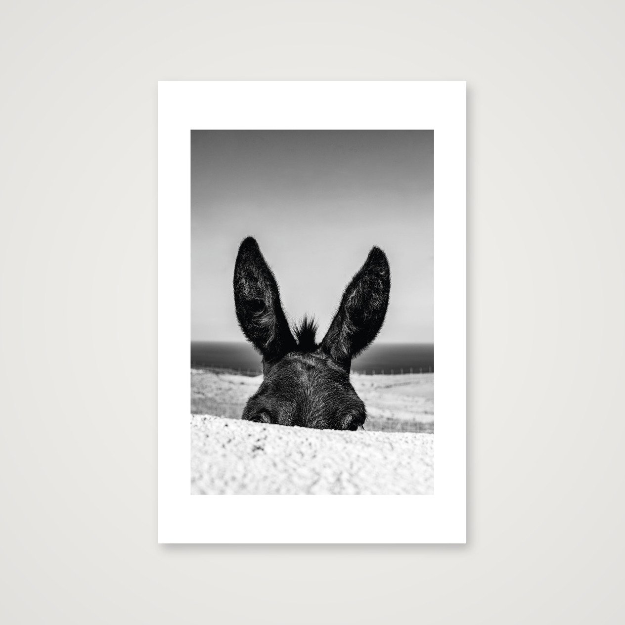 DONKEY - 2024 - Folegandros - GREECE