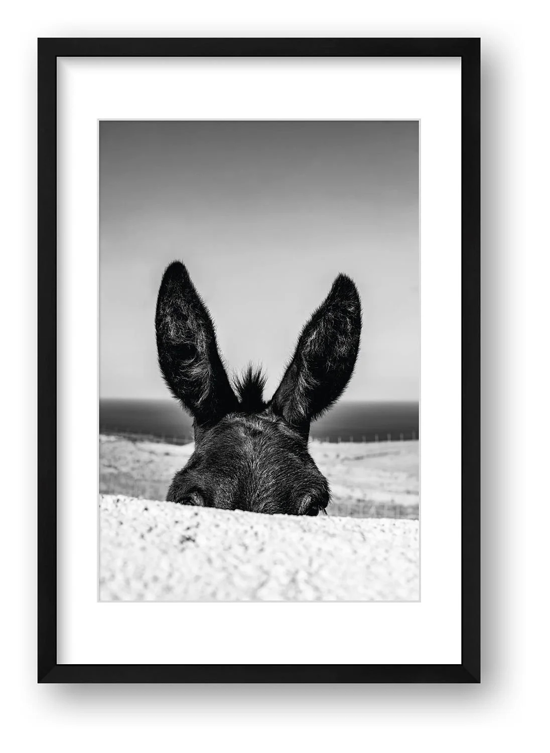 DONKEY - 2024 - Folegandros - GREECE