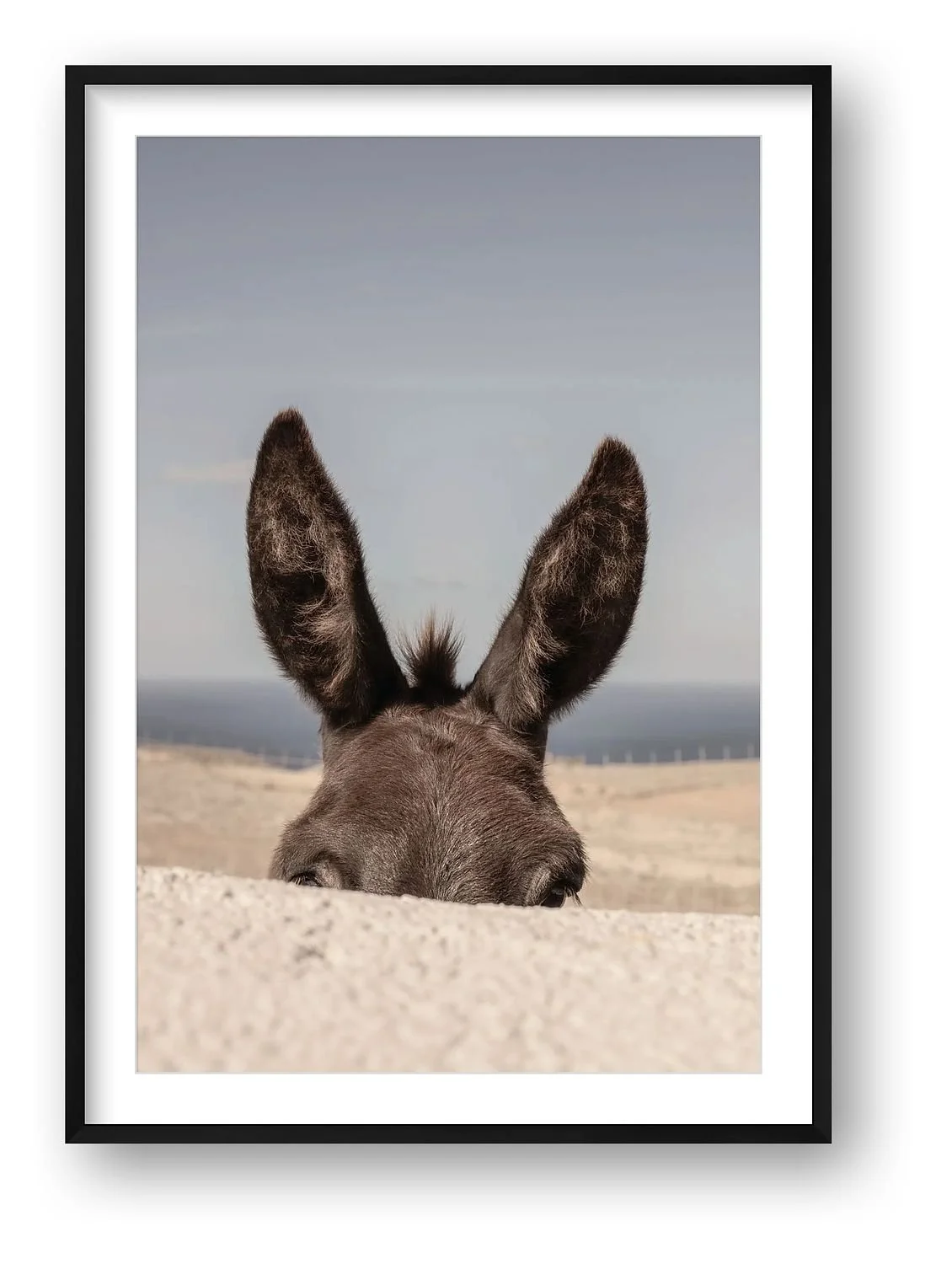 DONKEY 2 - 2024 - Folegandros - GREECE