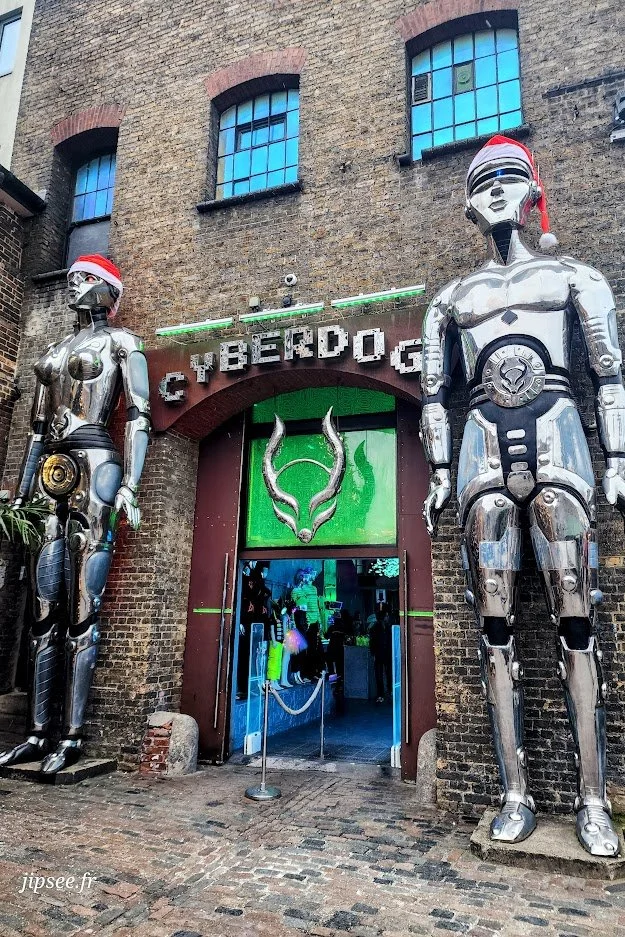 entree-boutique-cyberdog-londres.jpg