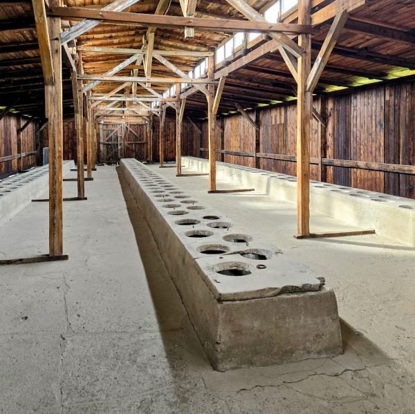 latrines-auschwitz-birkanau-600x599.jpg