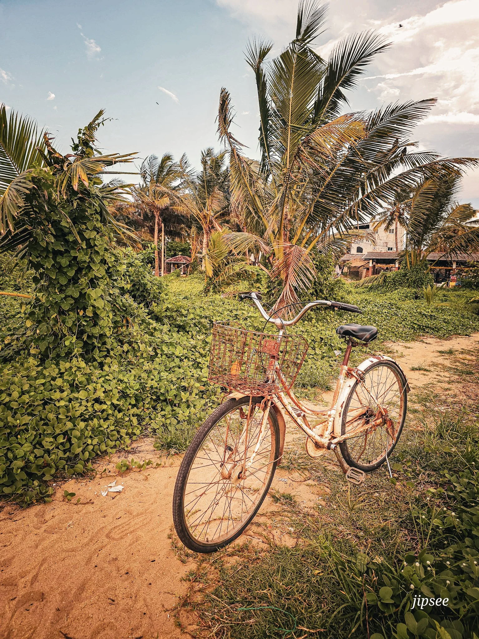 vieux-velo-negombo.jpg