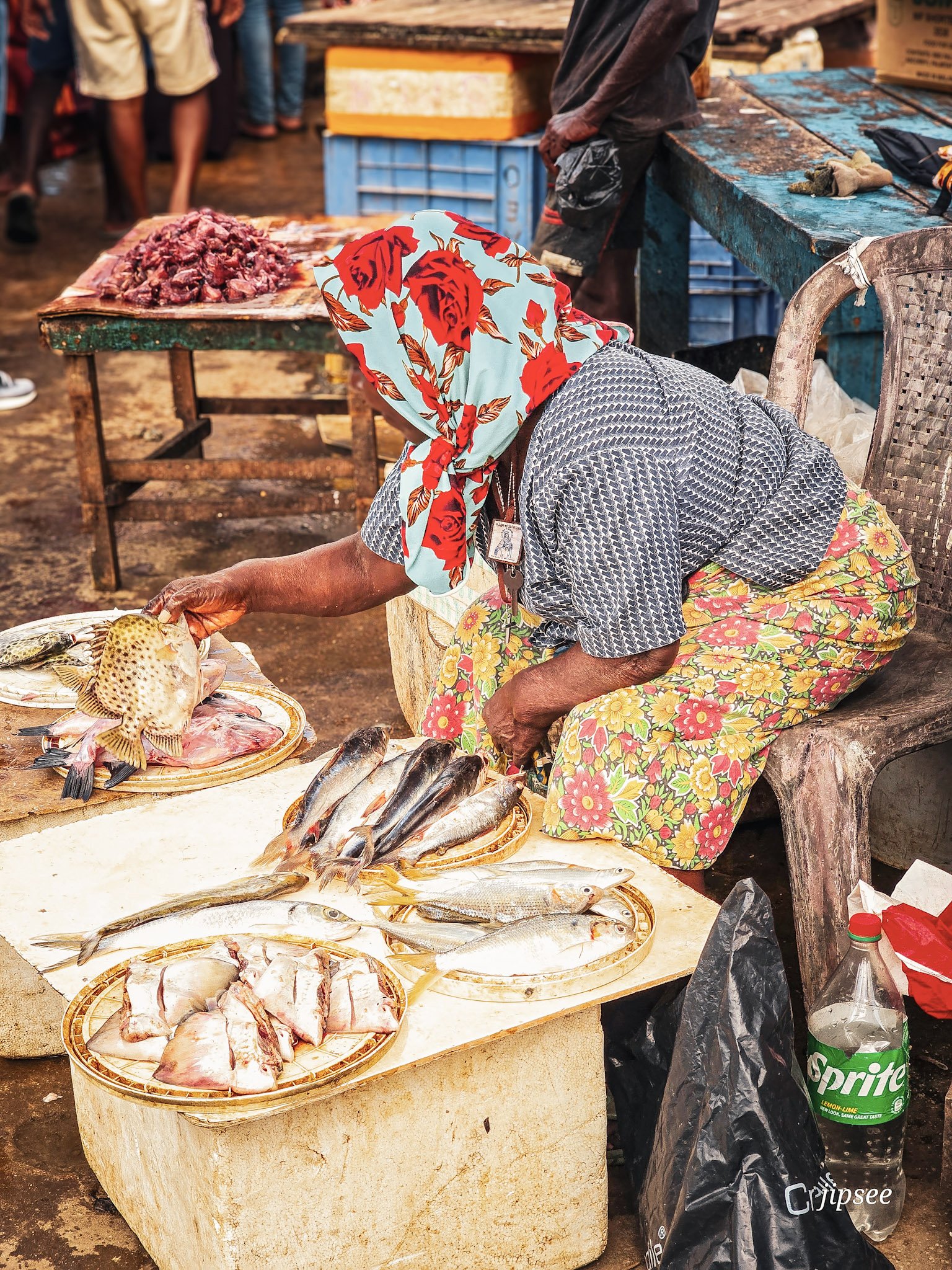 vendeuse-marche-aux-poissons-negombo-sri-lanka.jpg