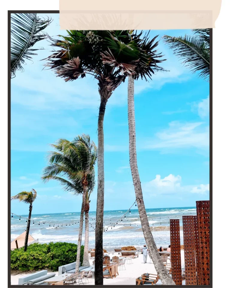 plage-tulum-mexique-1-768x960.webp