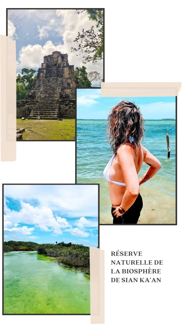 reserve-naturelle-sian-ka-an-quintana-roo-1.webp