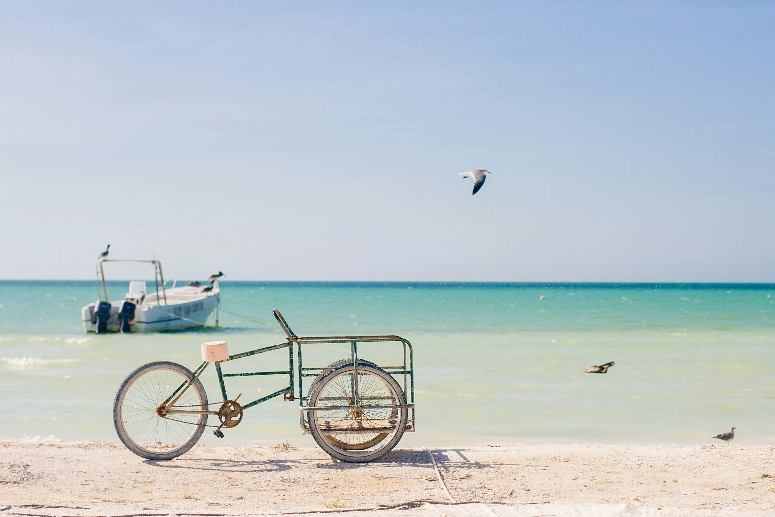des fois j’traine à Isla Holbox : Guide Complet &amp; Carnet de Voyage