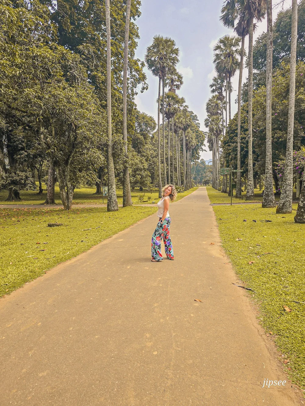 femme posant au milieux d'une allée de grands palmiers