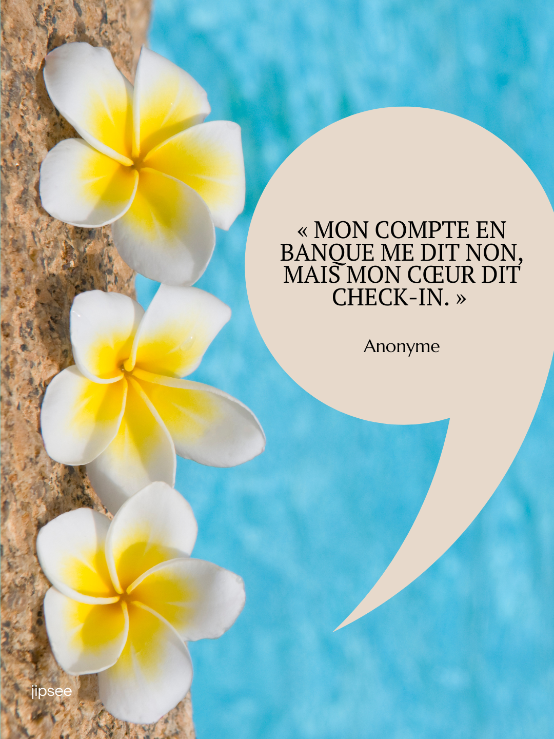 citation-voyage-Mon compte en banque me dit non, mais mon cœur dit check-in