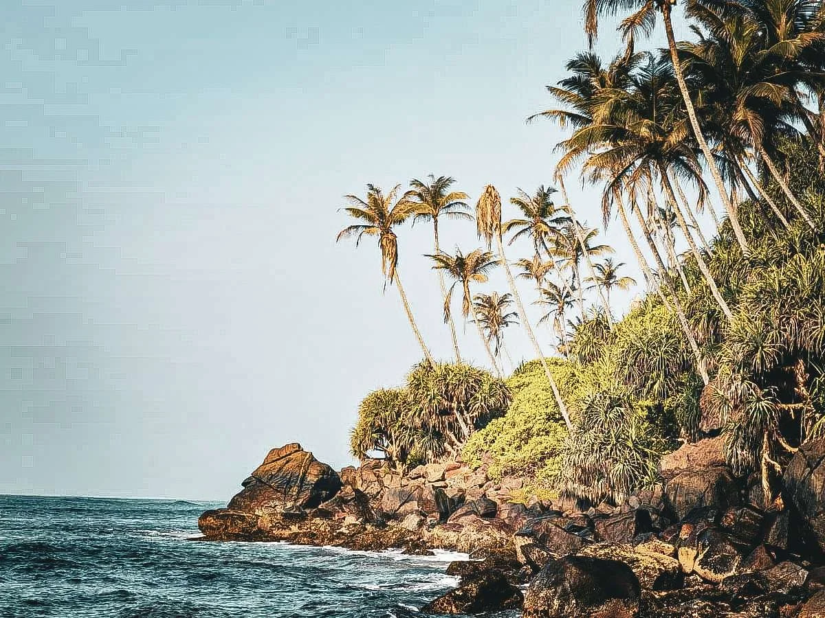 ocean-indien-mirissa-sri-lanka