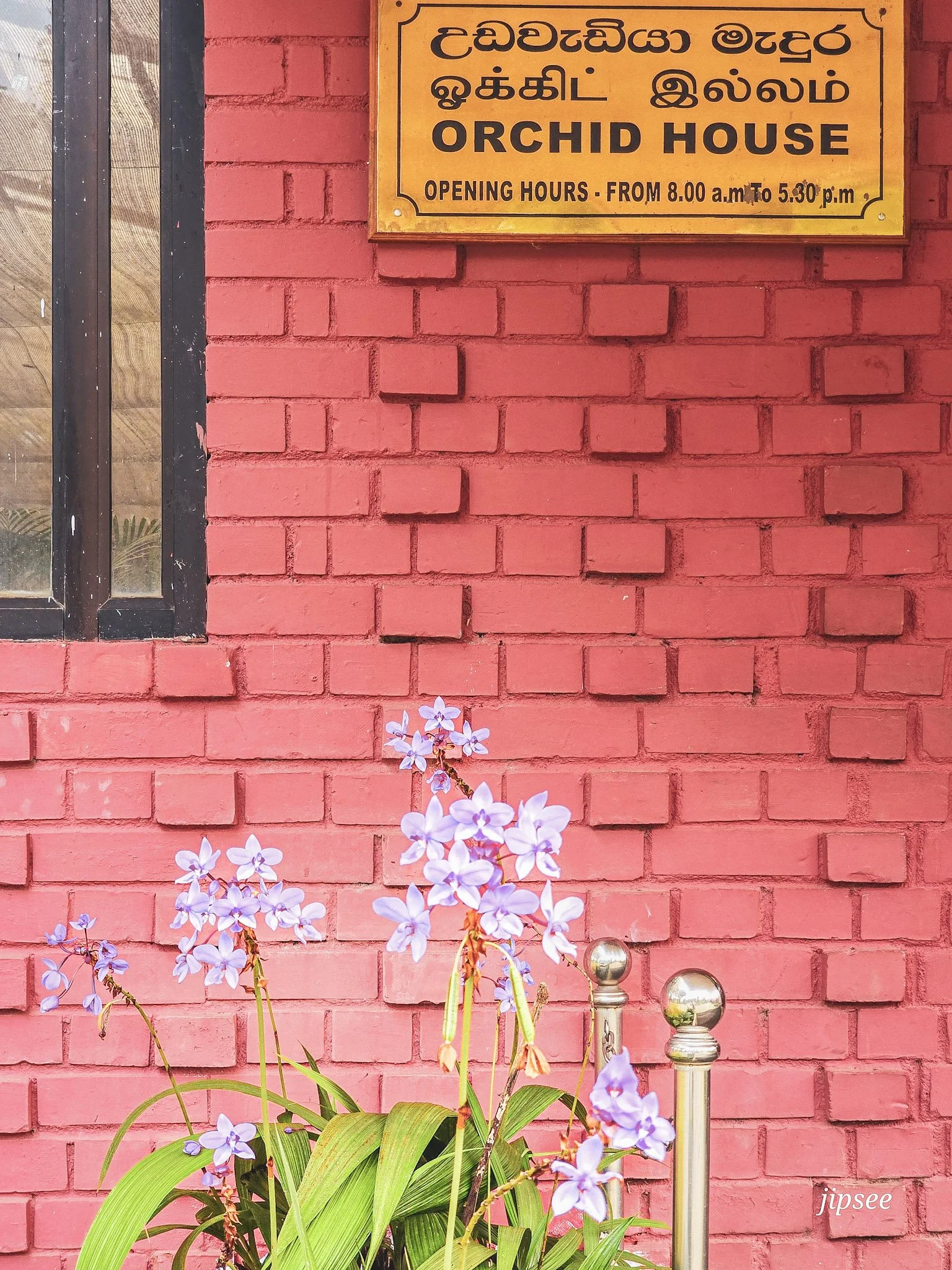 entrée de la orchidée house panneau devant un mur en brique rose