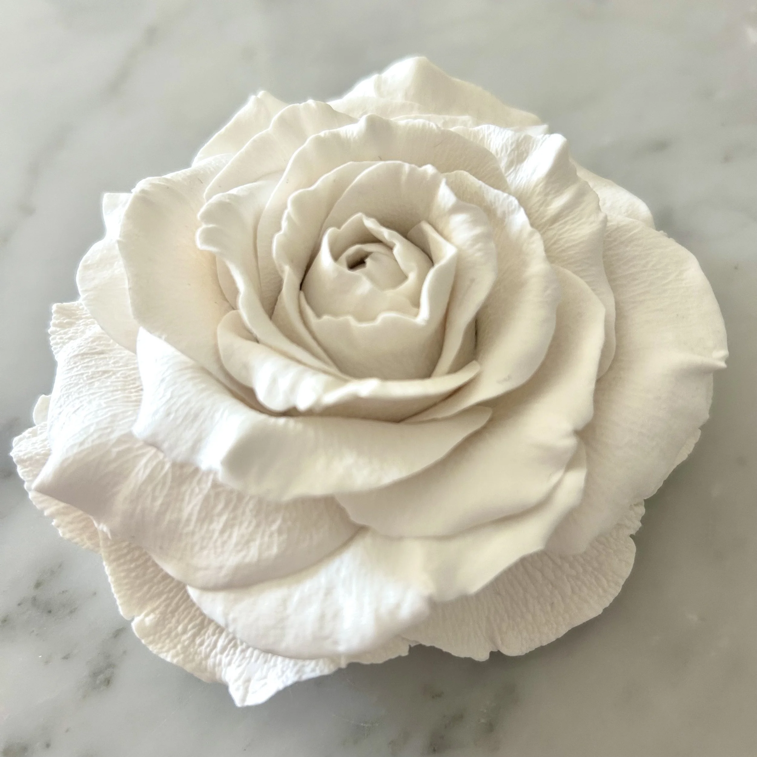 The Alabaster Rose