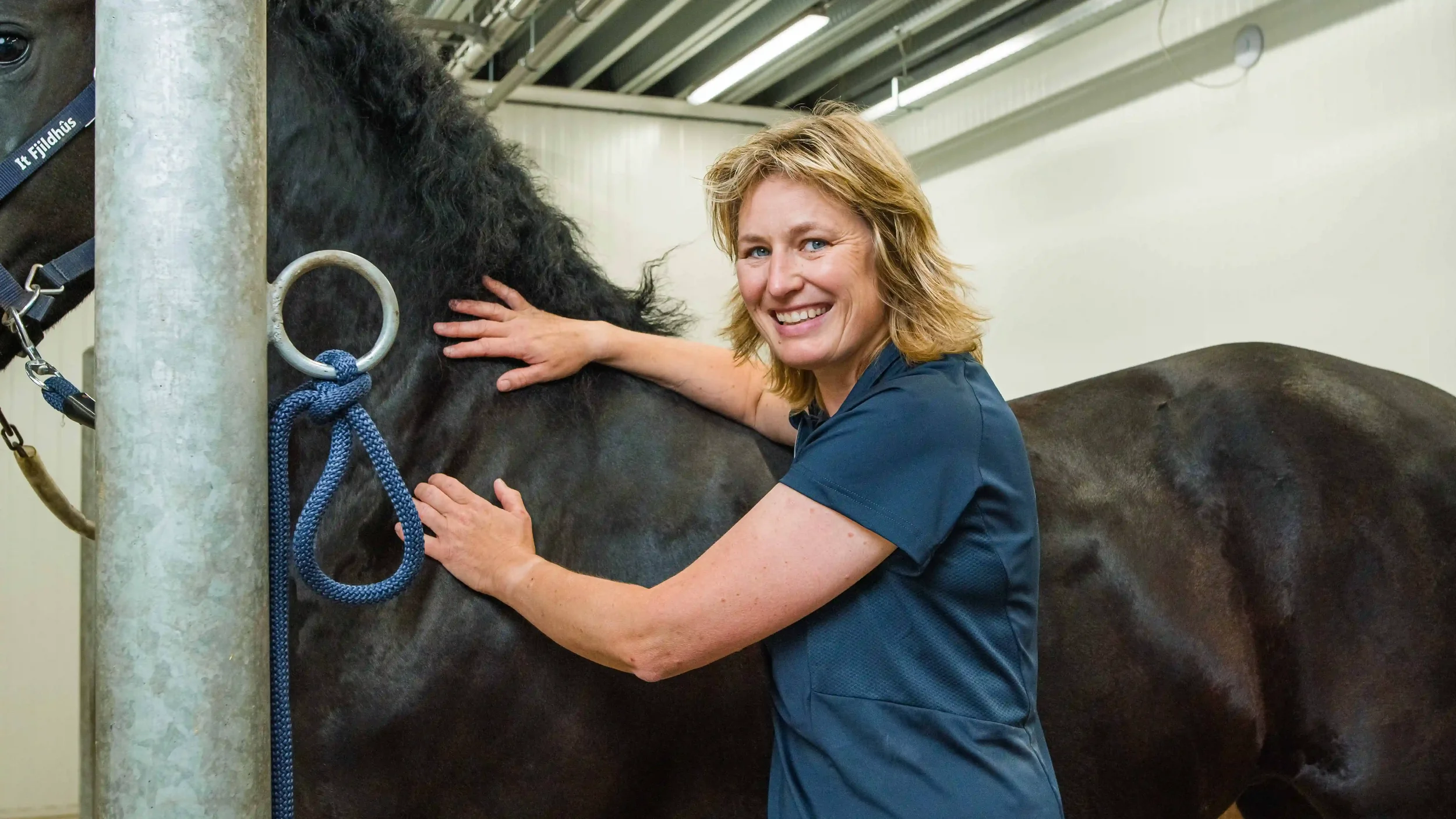Paarden sportmassage behandeling bij It Fjildhûs in Marsum