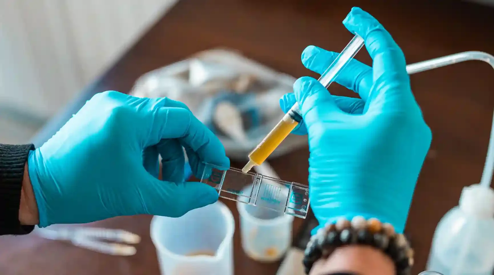 Mestmonster van paard analyseren in laboratorium voor mestonderzoek