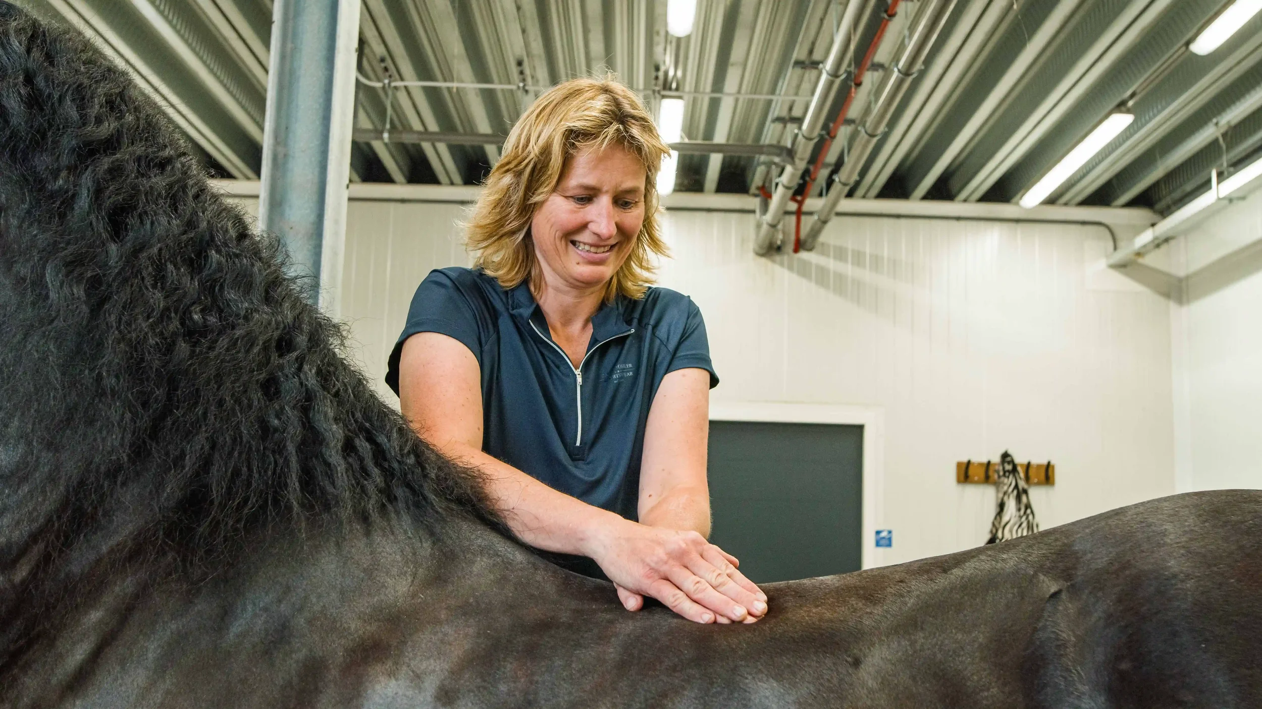 Paarden sportmassage behandeling bij It Fjildhûs in Marsum