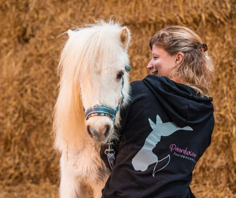 Coaching met paarden