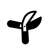 Icon of minimalistic back secateurs.
