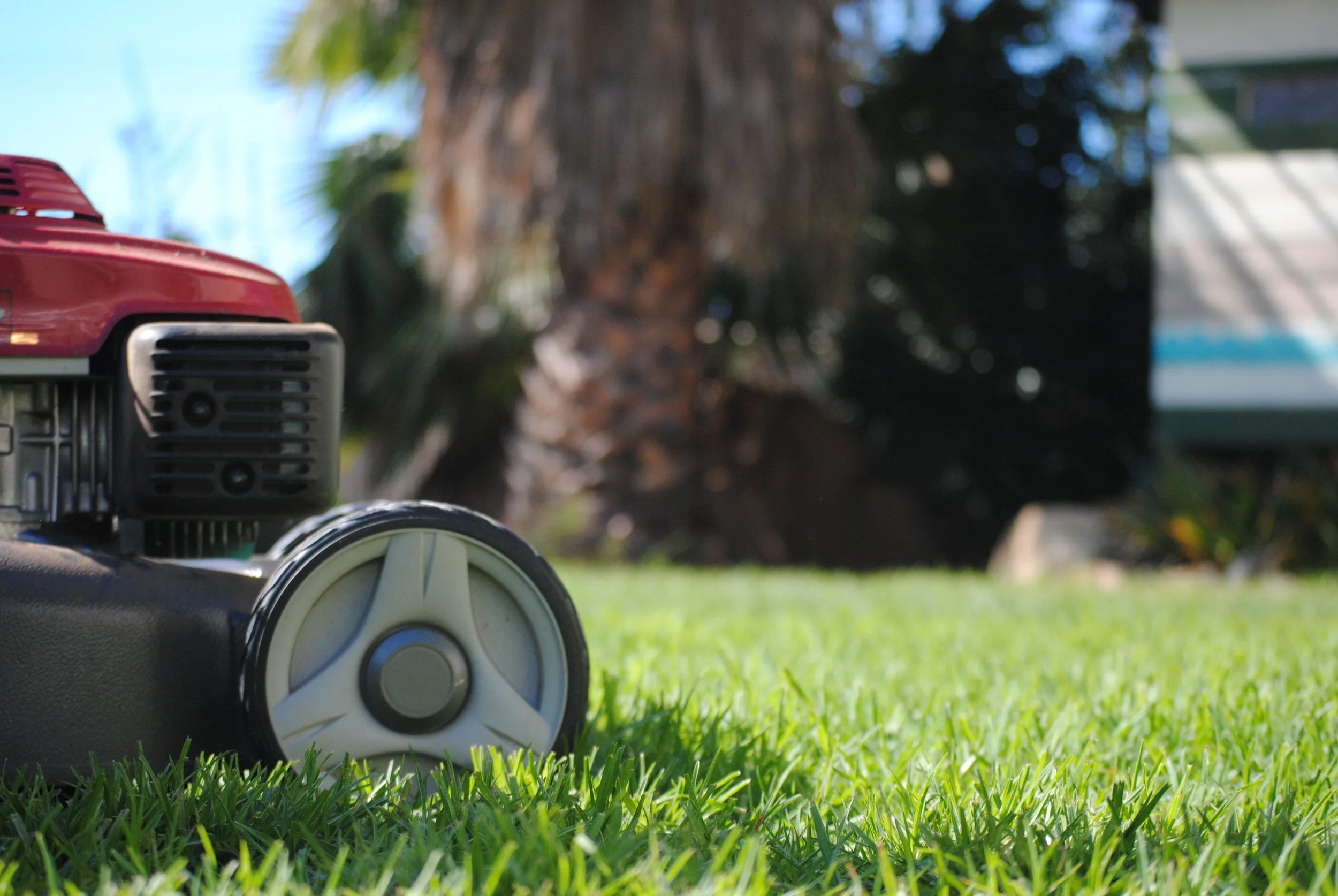 Close-up of a red and black garden tractor with a white wheel in a backyard with green grass and blurred trees and house in the background.