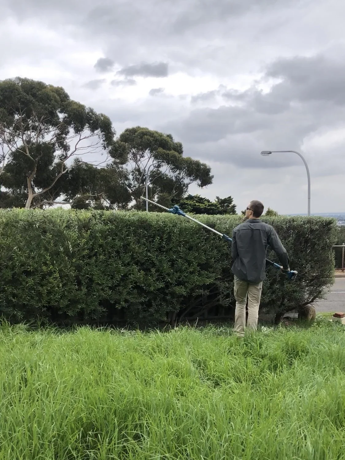 Gardener trimming a hedge with a long pole trimmer on a grassy area under cloudy sky.