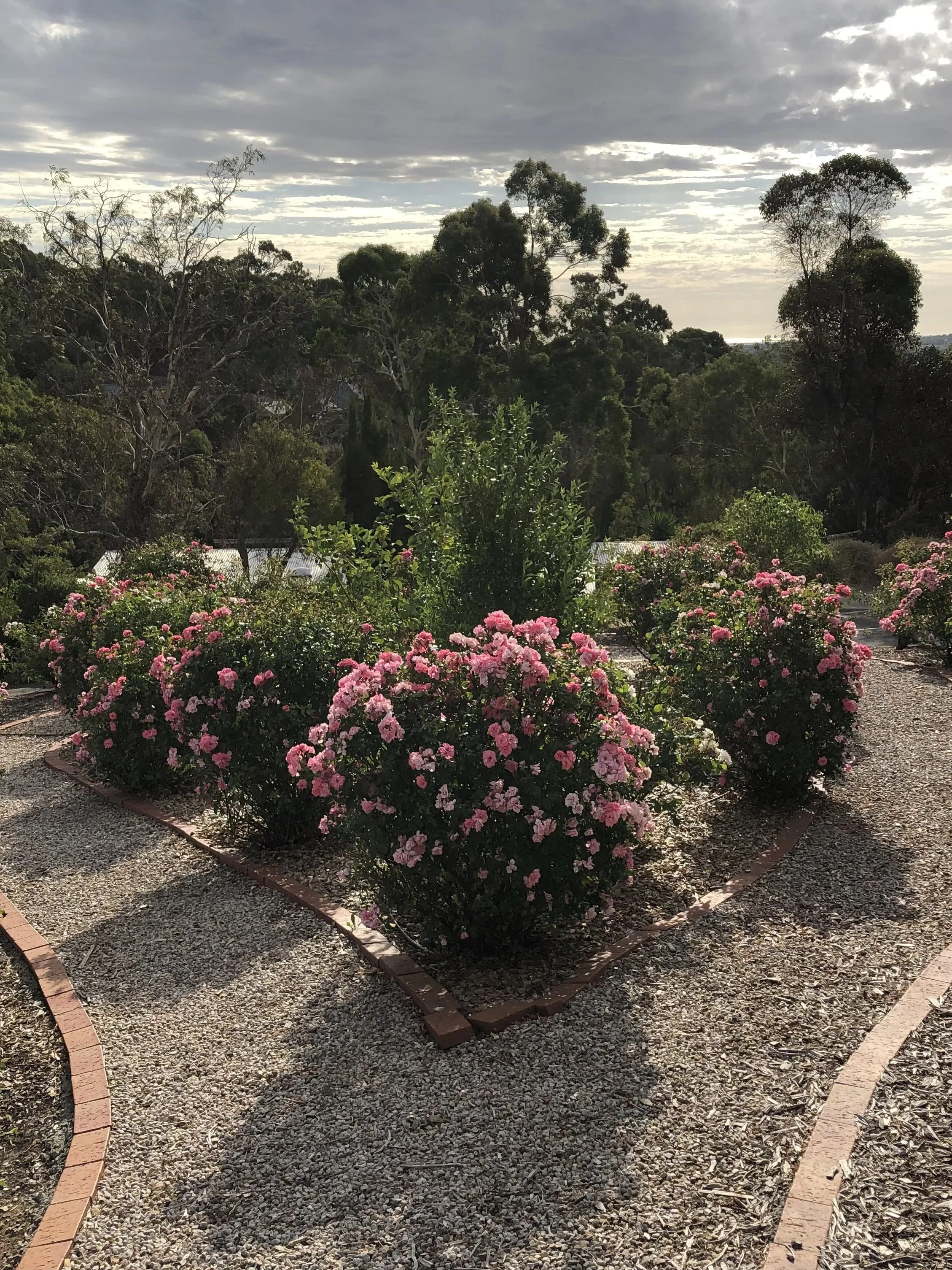 A garden with pink roses in bloom, bordered by a brick edging and a gravel path, with dense green trees in the background and a cloudy sky overhead.