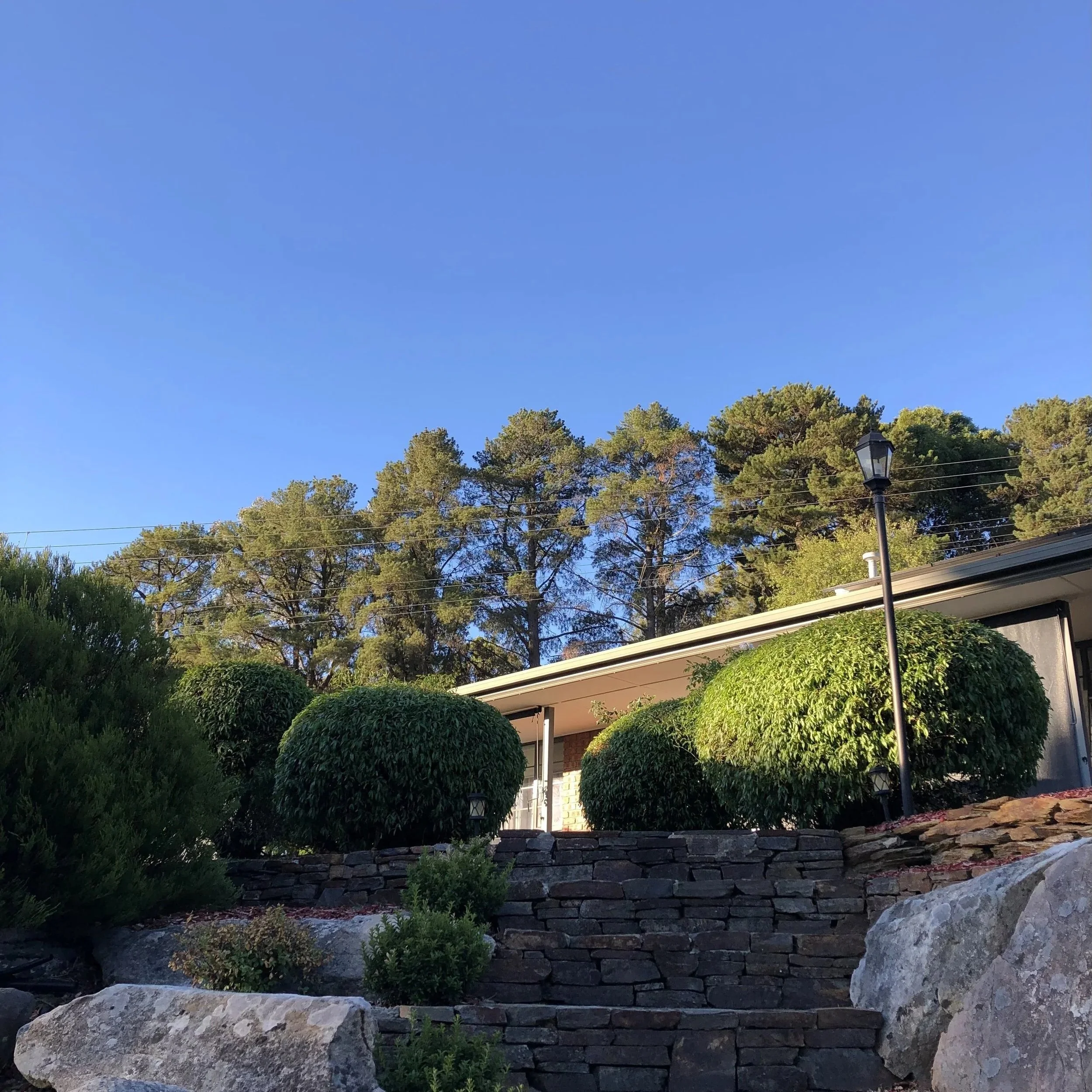 Stone steps leading to a garden with neatly trimmed bushed, there is a forest in the background and a clear blue sky.
